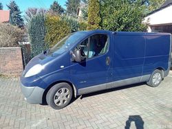 Blau Gebraucht 2014 Renault Trafic Van | 4.400 € (Teuer)