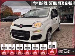 Weiß Neu 2025 Fiat Panda Kleinwagen | 12.980 € (Guter Preis)