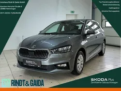 Grau Gebraucht 2024 Skoda Fabia Selection Kleinwagen | 19.399 € (Guter Preis)