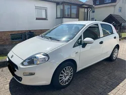 Weiß Gebraucht 2015 Fiat Punto Kleinwagen | 2.900 € (Guter Preis)