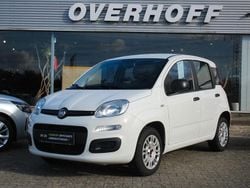 Weiß Gebraucht 2019 Fiat Panda Easy Kleinwagen | 7.450 € (Fairer Preis)