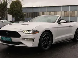 Weiß Gebraucht 2020 Ford Mustang Cabrio | 26.000 € (Fairer Preis)