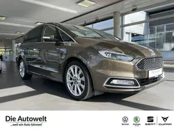 Nocciolabra (braun) Gebraucht 2018 Ford S-MAX Vignale Van / Kleinbus | 19.980 € (Etwas zu teuer)