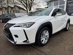 Weiß Gebraucht 2020 Lexus UX 250h SUV | 21.400 € (Superpreis)