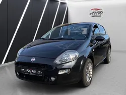 Schwarz Gebraucht 2016 Fiat Punto Lounge Kleinwagen | 6.290 € (Fairer Preis)