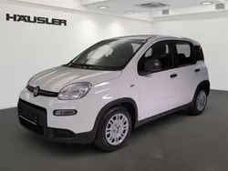 Gelato weiß Gebraucht 2024 Fiat Panda Kleinwagen | 14.890 € (Etwas zu teuer)