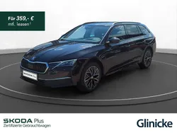 Blackmagic perleffekt Gebraucht 2024 Skoda Octavia Selection Kombi | 30.480 € (Guter Preis)