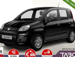 Schwarz Neu 2025 Fiat Panda Kleinwagen | 13.748 € (Guter Preis)
