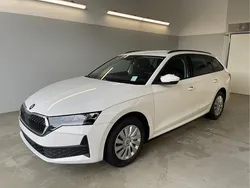 [9p9p] candy white Neu 2025 Skoda Octavia Essence Kombi | 30.880 € (Superpreis)