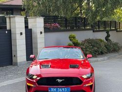 Rot Gebraucht 2019 Ford Mustang Cabrio | 22.300 € (Superpreis)