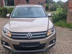 Gold Gebraucht 2012 VW Tiguan Comfortline SUV | 9.450 € (Guter Preis)