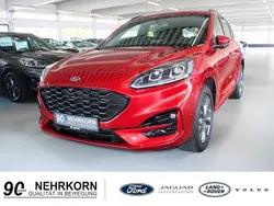 Rot Gebraucht 2021 Ford Kuga ST-Line X SUV | 29.990 € (Etwas zu teuer)