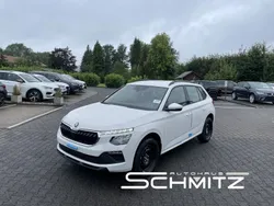 Weiß Neu 2025 Skoda Kamiq Essence SUV | 21.820 € (Guter Preis)