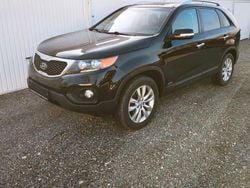 Schwarz Gebraucht 2010 Kia Sorento SUV | 7.440 € (Guter Preis)