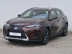 Braun Gebraucht 2019 Lexus UX 250h Launch Edition SUV | 22.890 € (Fairer Preis)
