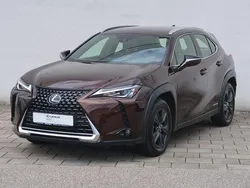 Braun Gebraucht 2019 Lexus UX 250h Launch Edition SUV | 22.890 € (Fairer Preis)