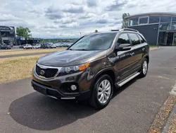 Braun Gebraucht 2011 Kia Sorento Spirit SUV | 11.999 € (Etwas zu teuer)