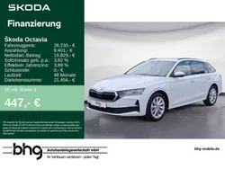 Weiß Gebraucht 2024 Skoda Octavia Selection Kombi | 27.960 € (Guter Preis)