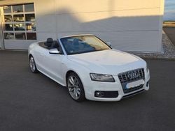 Weiß Gebraucht 2010 Audi S5 Cabriolet Sport Cabrio | 14.100 € (Etwas zu teuer)