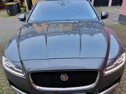 Grau Gebraucht 2015 Jaguar XF Limousine | 18.499 € (Fairer Preis)