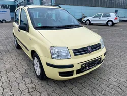Mambo gelb Gebraucht 2009 Fiat Panda Dynamic Kleinwagen | 2.000 € (Fairer Preis)
