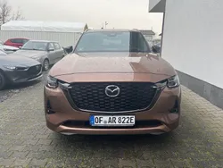 Beige Gebraucht 2024 Mazda CX-80 Homura-Line SUV | 51.799 € (Fairer Preis)