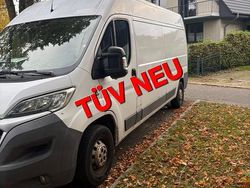 Weiß Gebraucht 2013 Fiat 500 Limousine | 8.999 €