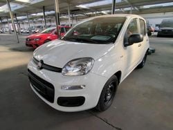 Weiß Gebraucht 2020 Fiat Panda Easy Kleinwagen | 6.900 € (Superpreis)