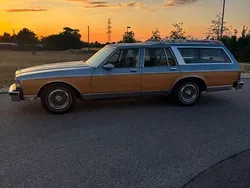 Blau Gebraucht 1990 Chevrolet Caprice Kombi | 10.500 €