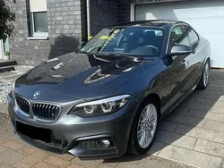 Grau Gebraucht 2017 BMW 220 M Sport Coupé | 18.500 € (Etwas zu teuer)