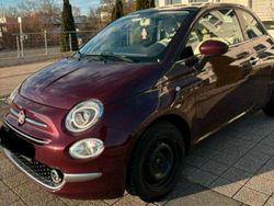 Violet Gebraucht 2018 Fiat 500 Kleinwagen | 9.000 €