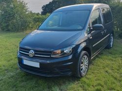 Blau Gebraucht 2017 VW Caddy Trendline Van / Kleinbus | 17.500 € (Etwas zu teuer)