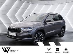Grau Neu 2025 Skoda Karoq Tour SUV | 37.752 € (Etwas zu teuer)