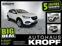 Jade weiss/arktis weiss Gebraucht 2021 Opel Grandland X Business Edition SUV | 17.960 € (Superpreis)
