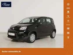 Schwarz Neu 2024 Fiat Panda Kleinwagen | 14.980 €