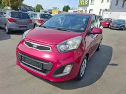 Violet Gebraucht 2014 Kia Picanto Edition 7 Kleinwagen | 4.999 € (Guter Preis)