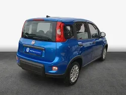 Blau Gebraucht 2024 Fiat Panda Kleinwagen | 14.950 € (Fairer Preis)