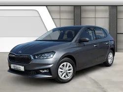 Grau Gebraucht 2024 Skoda Fabia Kleinwagen | 19.990 € (Fairer Preis)