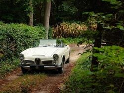 Weiß Gebraucht 1965 Alfa Romeo 2600 Cabrio | 97.500 €