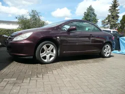 Violet Gebraucht 2004 Peugeot 307 CC Cabrio | 2.890 € (Teuer)