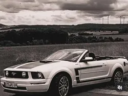 Weiß Gebraucht 2015 Ford Mustang Cabrio | 16.500 €