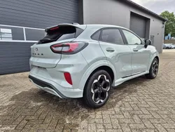 Cactus grey Neu 2025 Ford Puma ST-Line X Van / Kleinbus | 27.590 € (Fairer Preis)
