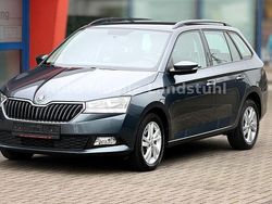 Grau Gebraucht 2019 Skoda Fabia Ambition Kombi | 9.499 € (Guter Preis)