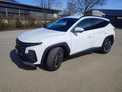 Weiß Gebraucht 2024 Hyundai Tucson Trend SUV | 30.800 € (Guter Preis)