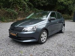 Grau Gebraucht 2015 Skoda Fabia Active Kleinwagen | 5.499 € (Guter Preis)
