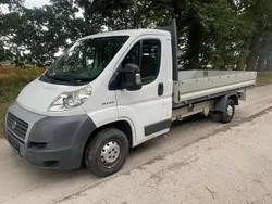 Weiß Gebraucht 2008 Fiat Ducato Van | 8.000 € (Fairer Preis)