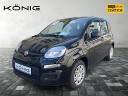 Schwarz Neu 2025 Fiat Grande Panda Kleinwagen | 15.289 € (Teuer)