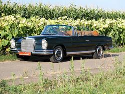 Grün Gebraucht 1967 Mercedes 250 SE Cabrio | 280.000 €