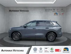 Delfingrau (grau) Gebraucht 2024 VW Tiguan Life SUV | 40.990 € (Teuer)