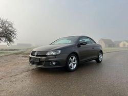 Grau Gebraucht 2015 VW Eos Exclusive Cabrio | 17.000 € (Fairer Preis)
